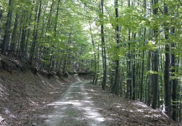 Percorso A piedi  - Preko Vrletine - Photo