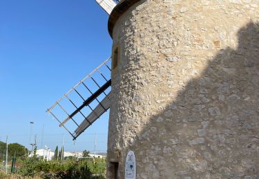 Randonnée Marche Lambesc - Autour de LAMBESC - Photo