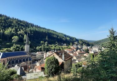 Randonnée Marche Plombières-les-Bains - plombières-moulin taquéré-le bohla 20220821 - Photo