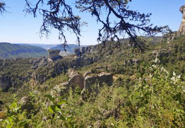 Tour Wandern Le Rozier - corniche du Tarn et de la Jonte - Photo