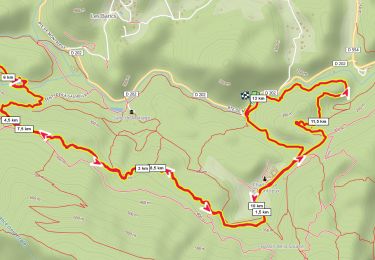 Trail Walking Méounes-lès-Montrieux - Meounes les Montrieux-Lac - Photo