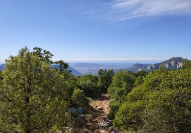 Trail Walking Le Revest-les-Eaux - Le revest - Pyramide Cassini - Le Revest - Photo