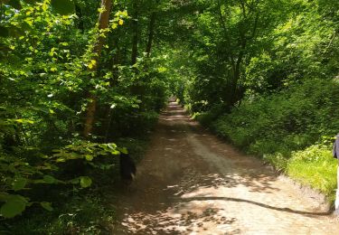 Tour Wandern Braine-l’Alleud - balade 4 - Photo