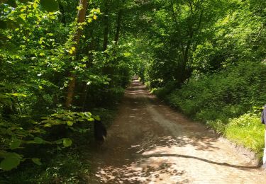 Tour Wandern Braine-l’Alleud - balade 4 - Photo