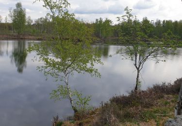 Excursión Bici de montaña Mélisey - VTT des milles étangs, melisey - Photo