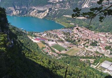 Randonnée Marche Saint-Martin-du-Frêne - Chamoise Le signal  - Photo