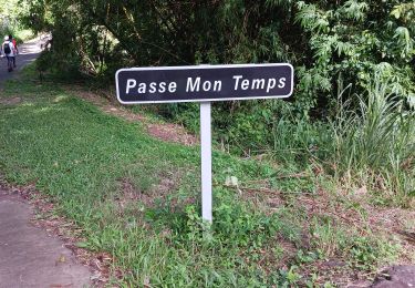 Tour Wandern Les Trois-Îlets - Anse a l'âne-- Passe mon temps - Photo