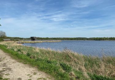 Tour Wandern Tienen - S-GR Hageland : Tienen - Terhagen - Photo