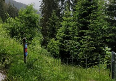 Randonnée Marche Arâches-la-Frasse - Carroz les Grangettes pra rôti - Photo