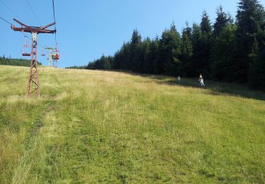 Excursión A pie Borșa - Complexul Turistic Borșa – Poiana Știol – Șaua Gărgălău (blue stripe) - Photo