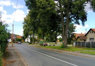 Randonnée A pied Jílové u Prahy - [Č] Zahořanský důl - Luka pod Medníkem - Photo