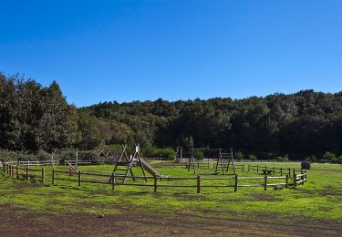 Percorso A piedi Vallehermoso - Ruta 14: Laguna Grande - Alto de Garajonay - Photo