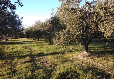 Percorso Marcia Caromb - Caromb  84 - Photo
