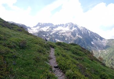 Tocht Stappen Presle - 2023-06-15 Prodin -Col de la Perche en boucle  - Photo