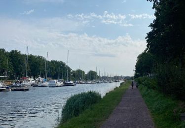 Trail Electric bike Carentan-les-Marais - Carenta dans le 50 - Photo