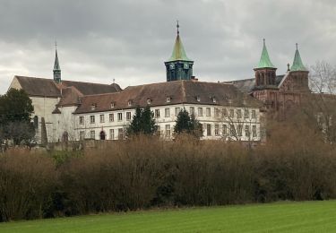 Trail sport Reiningue - Tour couvent Oelenberg - Photo