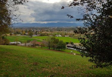 Trail Walking Livron - Livron confiné 3 - Photo