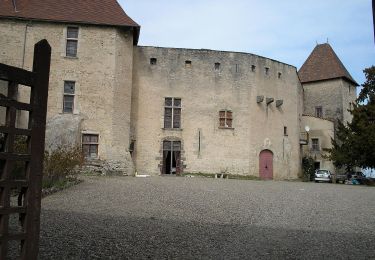 Randonnée A pied Aigueperse - Chateau de la Roche - Photo