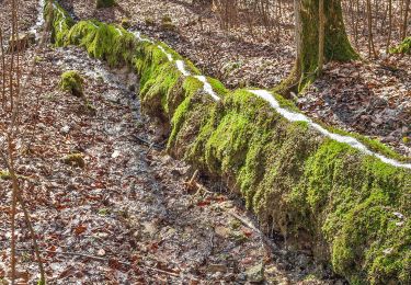 Percorso A piedi Vorra - Rundweg Vorra – Alfalter - Photo