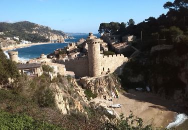 Trail Walking Tossa de Mar - Wikiloc - Tossa de Mar - Mirador del Codolar - Photo