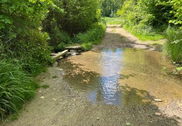 Randonnée V.T.T. Ormoy-le-Davien - 130522 - Boucle VTT - Ormoy le davien en passant par le canal de l'Ourc - Photo