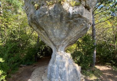 Tour Wandern Le Rozier - Balcons du mejean  - Photo