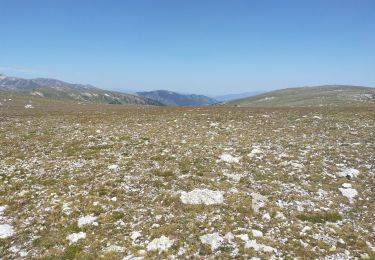 Tocht Stappen Mantet - col de mantet - Photo