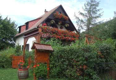 Tour Zu Fuß Tschakabrünn - Z+, Csákberény - Photo