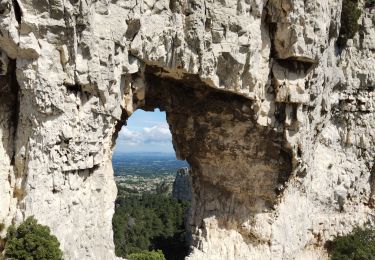 Trail Walking Saint-Rémy-de-Provence - Mt Gaussier - Photo