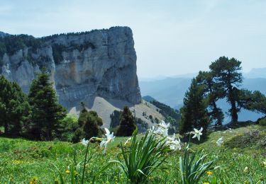 Trail Walking Romeyer - PAS DE PISON COL DES BACHASSON - Photo