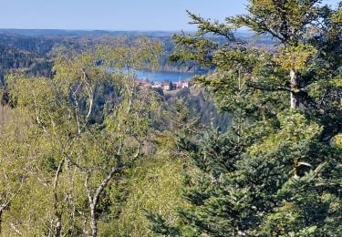 Tour Wandern Angomont - Col de la Chapelotte Sentier de Mémoite - Photo