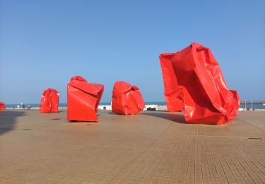 Trail Walking Ostend - ostende - Photo