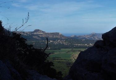 Trail Walking Nans-les-Pins - Béguines par voie Gombault - Photo