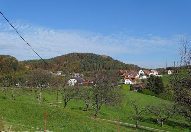 Randonnée A pied Sankt Oswald bei Plankenwarth - Wanderweg 34 - Photo