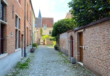 Percorso Marcia Malines - Malines out and in 20 km - Photo