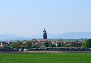Trail Walking Maringues - Maringues_Butte_Montgacon - Photo