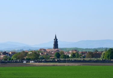 Randonnée Marche Maringues - Maringues_Butte_Montgacon - Photo