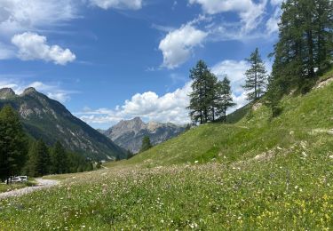 Tocht sport Ceillac - Les balcons de Ceillac par le sentier de Jalavez - Photo