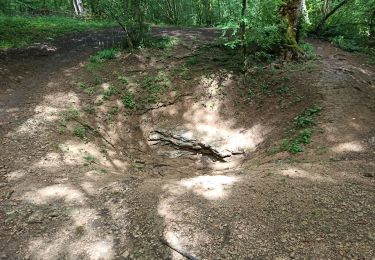 Percorso Mountainbike Maron - Maron Pierre la Treche A2020 1 - Photo