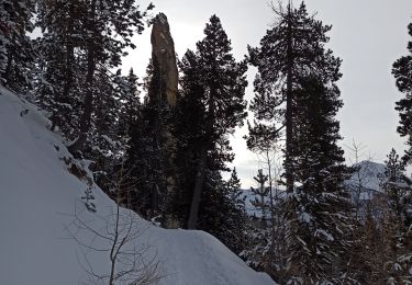 Excursión Raquetas de nieve Névache - 31-12-20 les thures - Photo