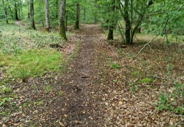 Percorso Marcia Saint-Gervais-la-Forêt - Saint-Gervais-la-Forêt - Chailles - Photo