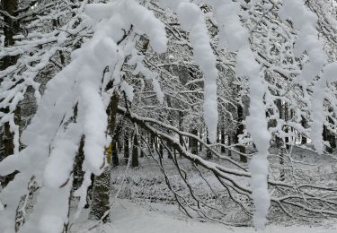 Tour Wandern Bastnach - Bizory - Photo