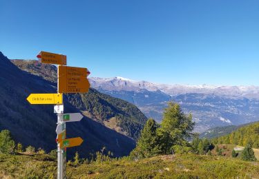 Tocht Te voet Chalais - Les Planards-L'Ar du Tsan - Photo