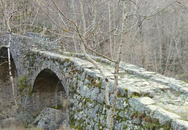 Tocht Stappen Montpezat-sous-Bauzon - Balade-Le Villaret-La Forêt- Les Malfaugères - Photo