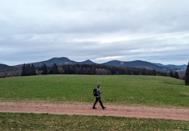 Tour Wandern Vorbruck - suuntoapp-Hiking-2024-03-17T08-46-21Z - Photo