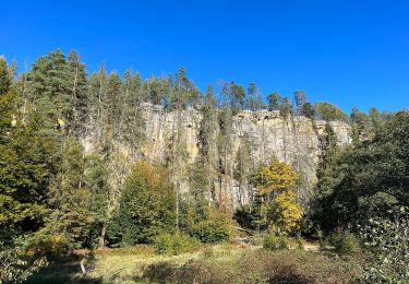 Tour Zu Fuß Sebnitz - Blauer Strich, Sächsische Schweiz (rechtselbisch) - Photo