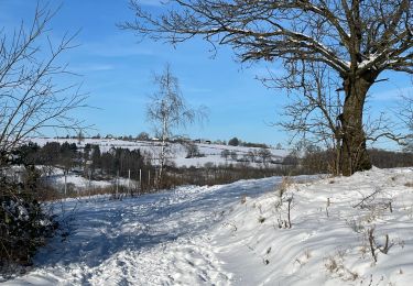 Excursión Senderismo Olne - Réserve Olne st Hadelin Hansez - Photo