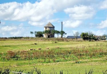 Tocht Stappen Saint-Jouan-des-Guérets - Boucle Saint Jouan des Guérets St Elier - Photo