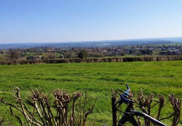 Tocht Wegfiets Trooz - Autour de Soiron - Photo