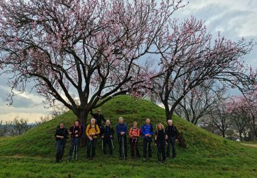 Tour Wandern Reichenweier - Rando CLAS du 23/02/2023 - Photo